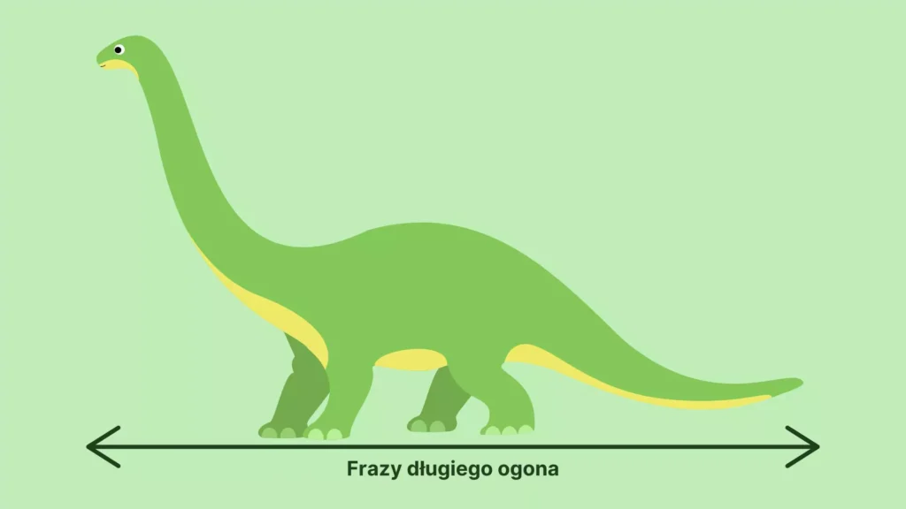 Czym są frazy długiego ogona?